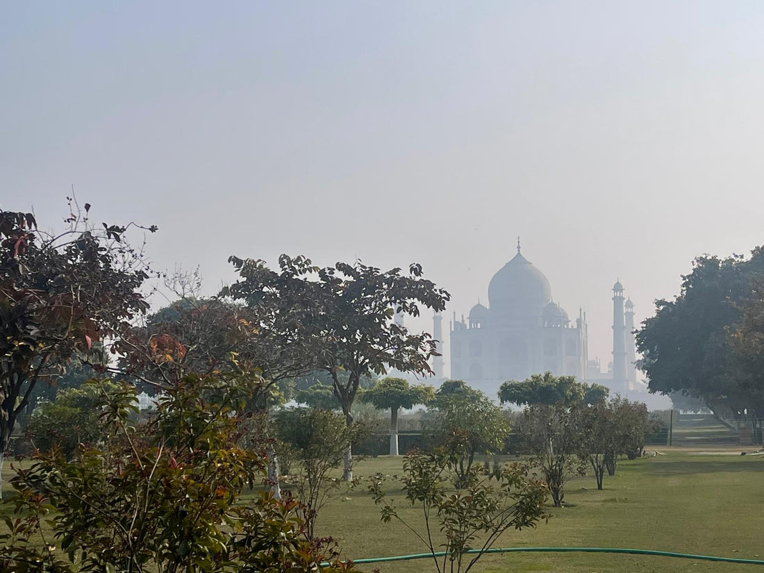 L'Inde, une nouvelle vie