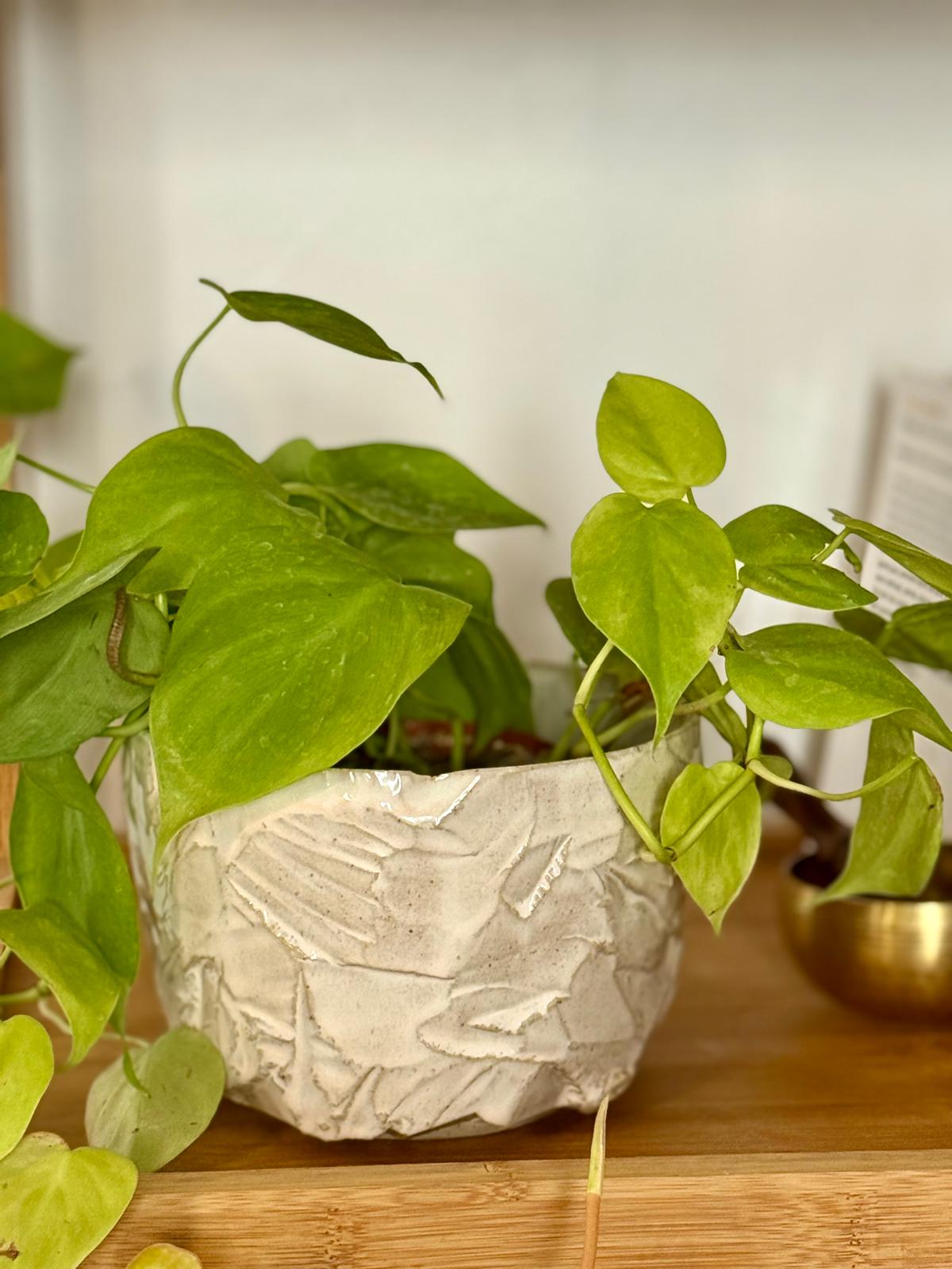 Pot grès & kurinuki rose poudré - taille S (ouverture large)