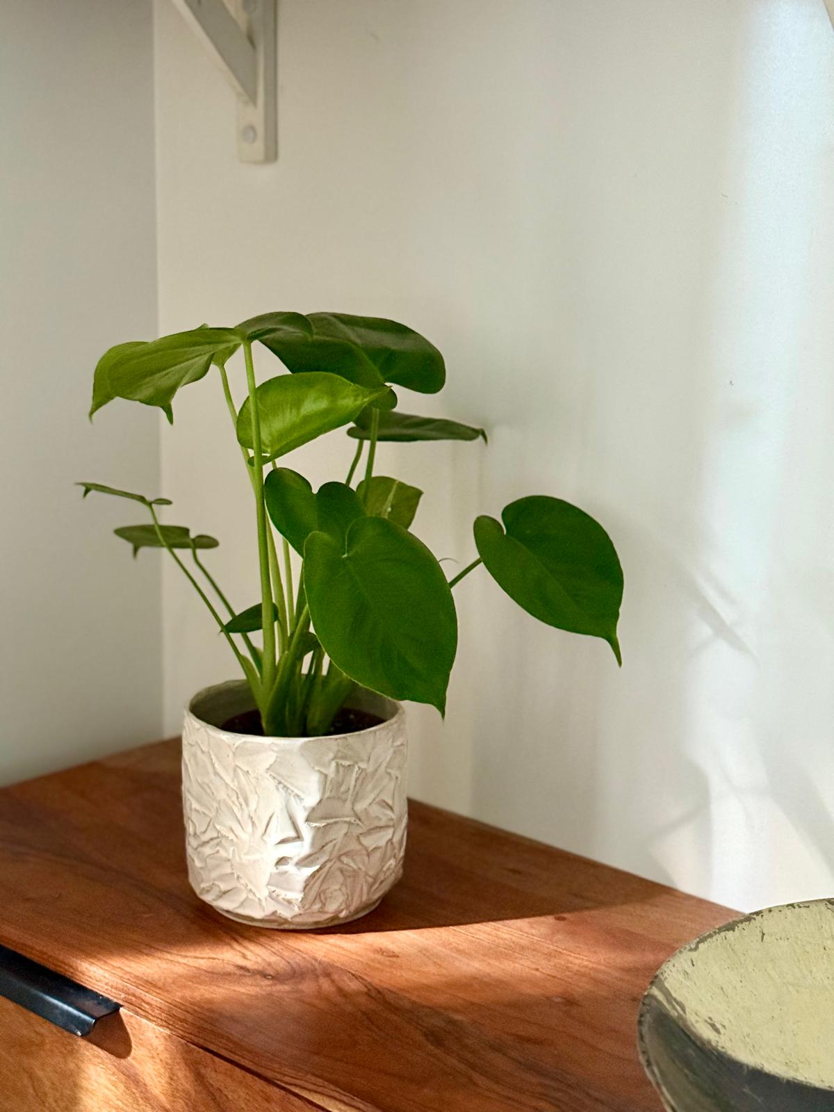 Cache-pot grès & kurinuki rose poudré - taille S