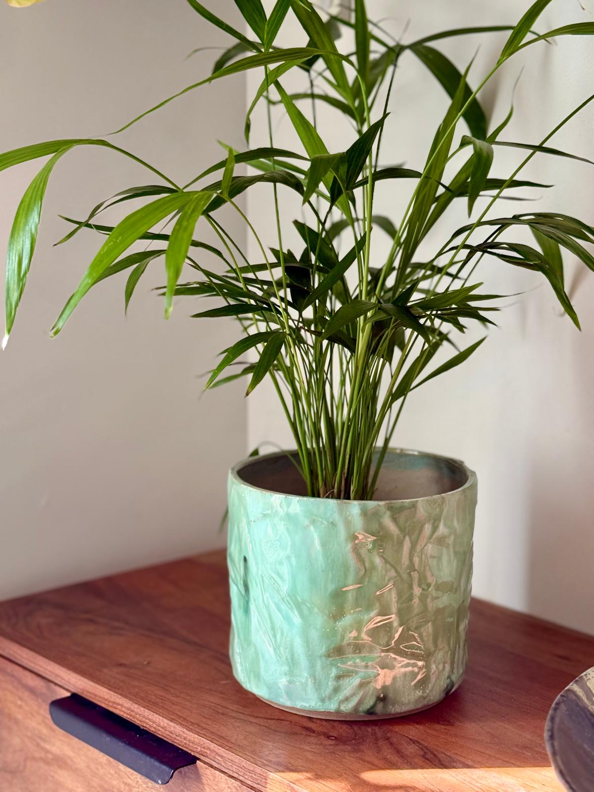 Cache pot en grès & kurniuki Vert Minéral - taille medium