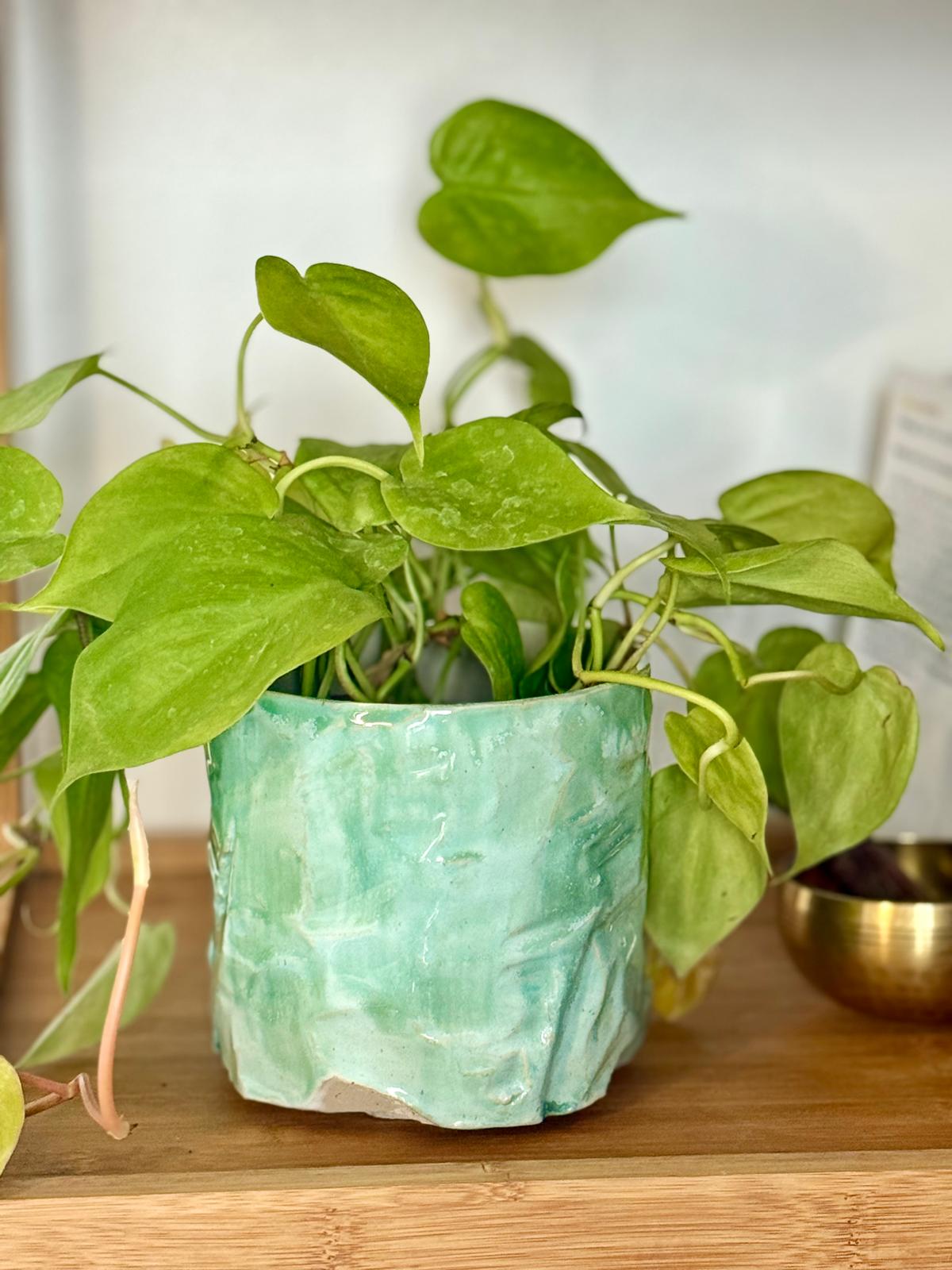 Cache pot en grès et kurinuki Vert Minéral - taille S